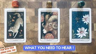 What You Need To Hear! | Timeless Reading