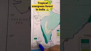 Tropical Evergreen  forest in India   || #upsc #shorts