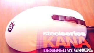 SteelSeries KANA Mouse - Edit Review