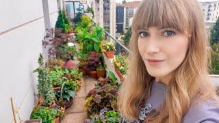 Balcony Garden Maintenance in Summer ️ | 17m2garden