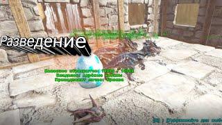 разведение живки в ARK  Survival Evolved Extinction часть 4