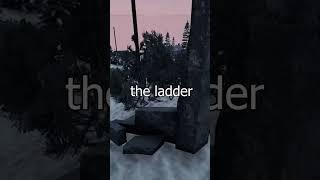 Double kill at the Needle #dayz #pvp #survival #adventure #namalsk