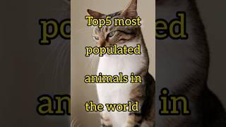 TOP5 MOST POPULATED ANIMALS IN THE WORLD#TOP 10#Ihusni535