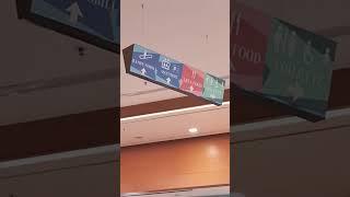 бомбардино крокодило