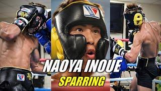 Naoya Inoue Sparring