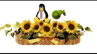 Груша Linux (Украинская ОС на ядре Linux часть 2)