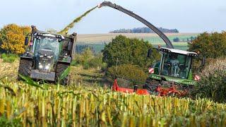 Mais 2024 | Fendt 942 Vario | Silage in The Ardennes | Fendt Katana 650 | Lapraille