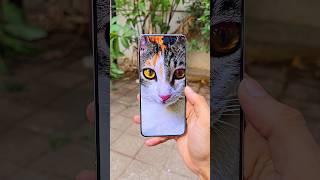 Xiaomi 15 Ultra Camera Test 