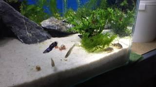 pod vodou / under water