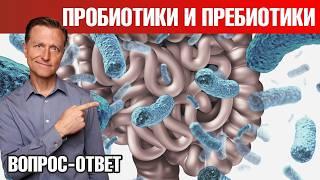 Микрофлора кишечника  пребиотики питают плохие бактерии?!