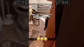 Кот #shortsvideo #мем #юмор #russia #мемы #youtube #прикол #memes #shorts #жиза #shortsfeed #capcut