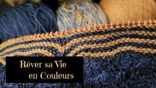 VlogTricot 41 ‍️‍ Deux pour le prix d' Une ‍️‍ #podcasttricot  #tricot #vlogtricot