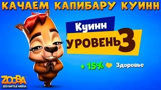 КАЧАЕМ КАПИБАРУ КУИНН НА 3 УРОВЕНЬ В ИГРЕ ZOOBA