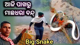 ନଦୀରେ ଜାଲ ପକେଇଲି ମାଛ ବିଲକୁଲ ନାହଁ  ଖାଲି ସାପ ଆଉ ସାପ // ଆଜି ପାଖରୁ ମାଛଧରା ବନ୍ଦ୍ // ବେକାର Time West