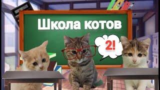 КОТЯТА ПОШЛИ В ШКОЛУ КОТОВ | ИЗУЧАЮТ МАТЕМАТИКУ И ИГРАЮТ НА ФИЗКУЛЬТУРЕ.