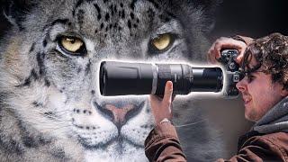 Who is This Lens Even For?? Canon 800mm F11 Review in 2024