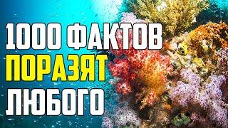 1000 ФАКТОВ, КОТОРЫЕ ПОРАЗЯТ ЛЮБОГО