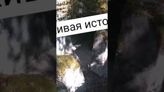 Линия Маннергейма (полное видео на канале) #путешествия #путешествияонлайн #история #россия24