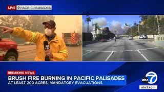 Palm trees burn along Sunset Boulevard as brush fire spreads through Pacific Palisades