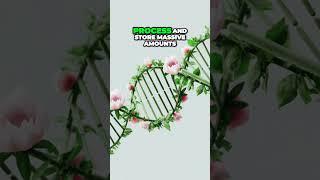 AI Unleashed: 23 Secs of Data-Driven Future #Shorts
