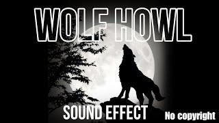 Wolf howl sound effect | night wolf sound | no copyright | free