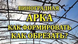 ВИНОГРАДНАЯ АРКА -ПРОСТОЙ СПОСОБ ОБРЕЗКИ -ФОРМИРОВКА