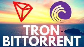 Bittorrent Token and Tron - Everything you need to know about BTT and TRX