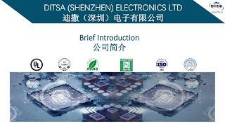 DITSA SHENZHEN ELECTRONICS LTD