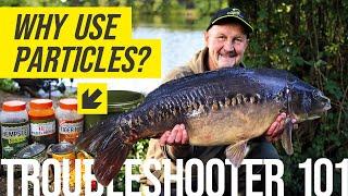 Use particles to catch more carp!! | Troubleshooter 101 - particles