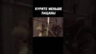 Когда Накумарили на Свободе @Wandermen  Dayz Stalker RP