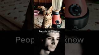 Cat Blender photo (Xqc Becomming Uncanny) #horrorstory #disturbing #uncanny #xqc #cat #haunt