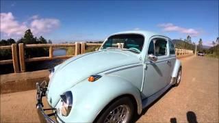 Fusca