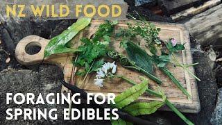 FORAGING for NZ EDIBLE plants and Medicine - Spring Edition.