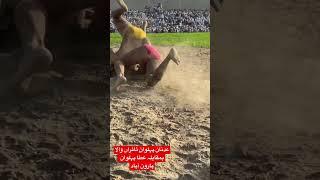 #melakushti #adnanpehlwantairanwala #dangal #attapehlwan #kushti #newkushti #kushtidangal #kabbadi
