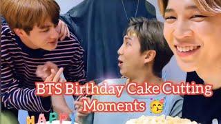 BTS Birthday Cake Cutting Moments ( Jin Suga)