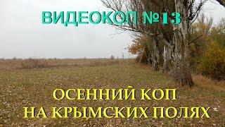 Видеозарисовки о копе №13 Осенний коп на Крымских полях