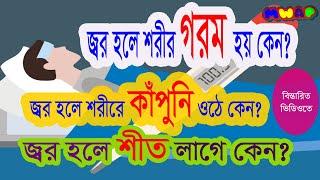 জ্বর হলে শরীর গরম হয় কেন ? জ্বর হলে শরীরে কাপুনি ওঠে কেন ? জ্বর হলে আমাদের শীত লাগে কেন ? mwap