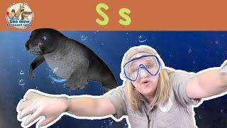 Learn about the Letter S and Seals | Zoo Crew Alphabet Show EP:19