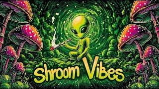 SHROOM VIBES - Psy Dub Mix (Psychedelic Bass, Psy Bass 2025)