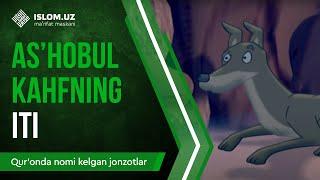 26.  As'hobul-Kahfning iti (2-qism) | Qur'onda nomi kelgan jonzotlar