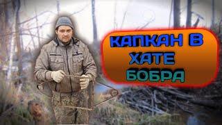 ПОСТАВИЛИ КАПКАН КП-320 В БОБРИНУЮ НОРУ.#2