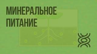 Минеральное питание. Видеоурок по биологии 6 класс