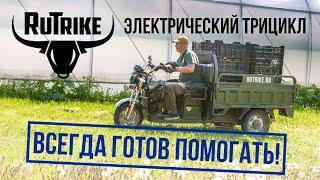 Rutrike - электрический трицикл: заряжен на перевозки!