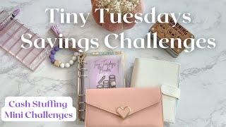 Tiny Tuesday Cash Stuffing Mini & Micro Mini Savings Challenges | Roll the Dice & Save