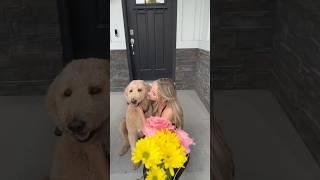 Watching what I say from now on  #dogs #dogcomedy