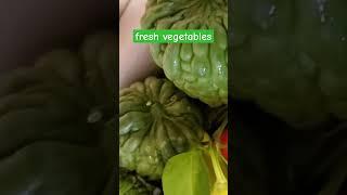 #garden #vegetables #harvest #organic #fresh