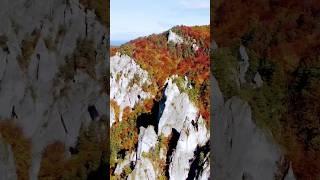 Autumn "Golden hues and mountain views #AutumnEscapes #MountainMagic" #viralshorts #viralvideo