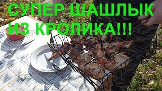 RABBIT KEBAB!!! The most delicious and simple barbecue recipe!!! Cooking on the grill!!!