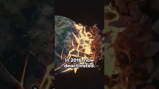 Flat-Earthers' Bizarre Tree Theory: Fact or Fiction? #facts #flatearth #fiction