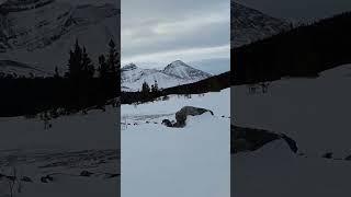 Cardinal Divide Bull Moose UTV Tour